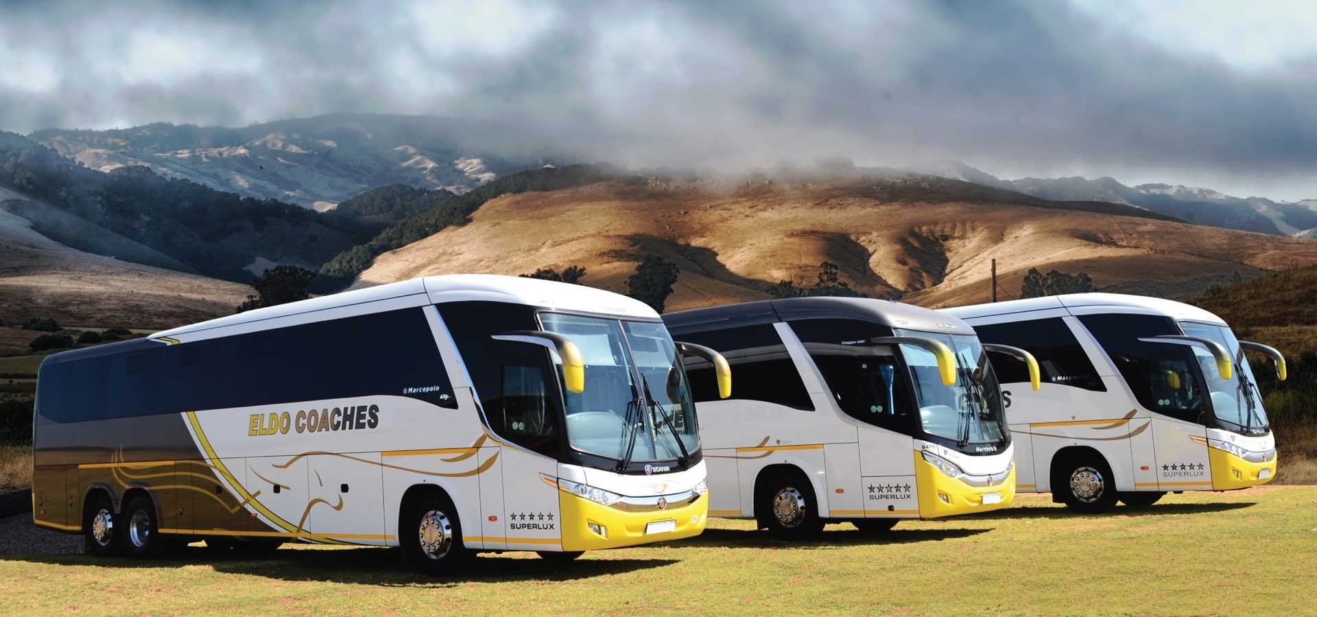 Eldo Coaches Online Bus Tickets Booking eldocoaches.co.za South